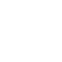 海外事業